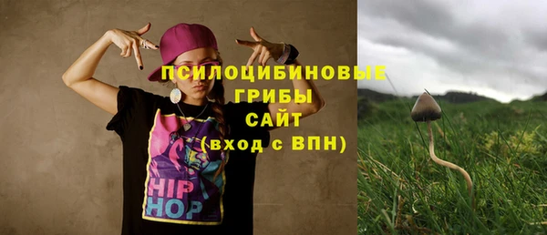 прущая мука Бородино