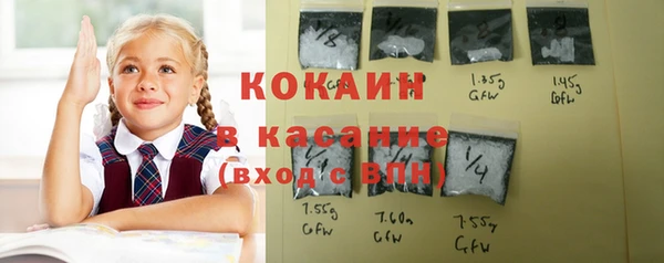прущая мука Бородино