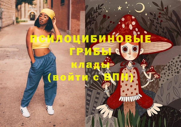 Альфа ПВП Бугульма