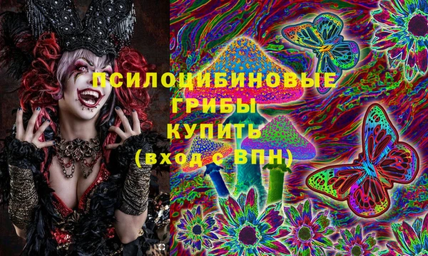 Альфа ПВП Бугульма