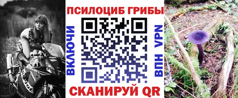 Псилоцибиновые грибы GOLDEN TEACHER  Купить закладки  Белоярский 